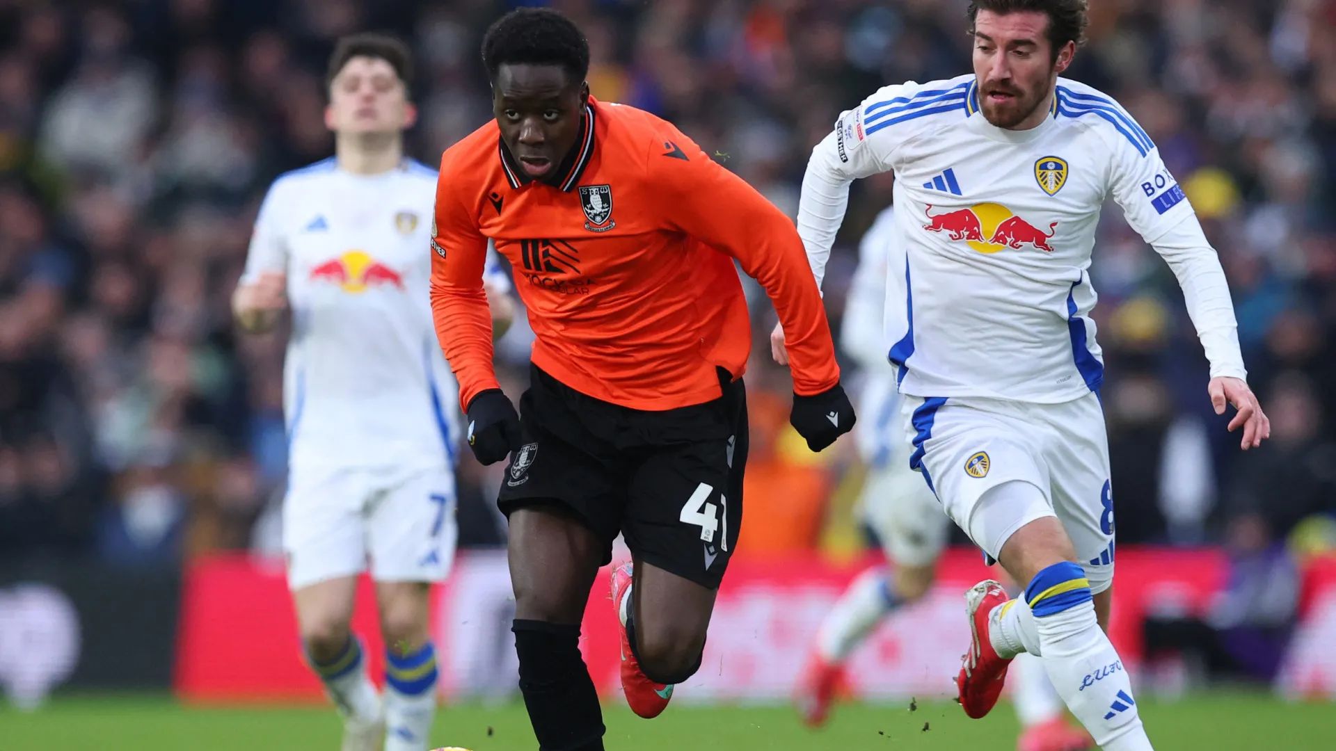 Tiền đạo Djeidi Gassama trong màu áo Sheffield Wednesday